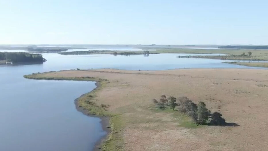 “Rehenes” de “políticas menores”: oposición criticó la ubicación de la planta de UTE