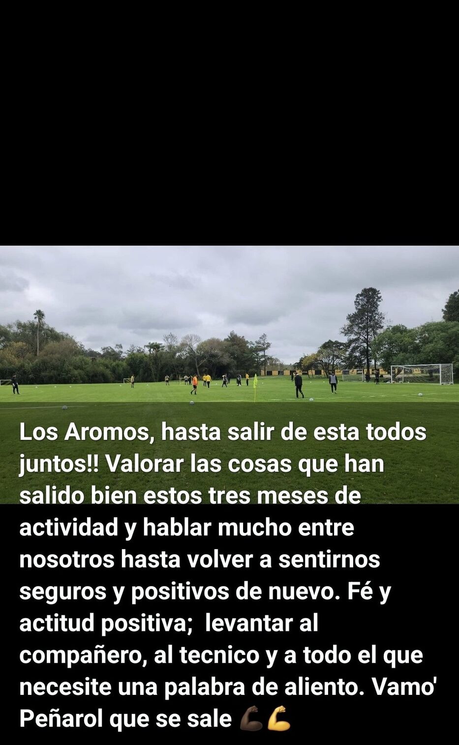 estado de WhatsApp / Ignacio Ruglio