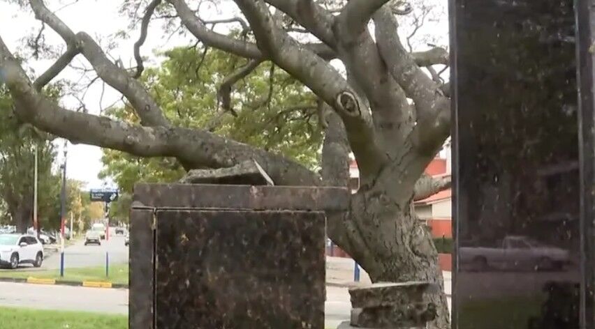 Robaron otro monumento en Montevideo: arrancaron el busto de Pierre de Coubertin