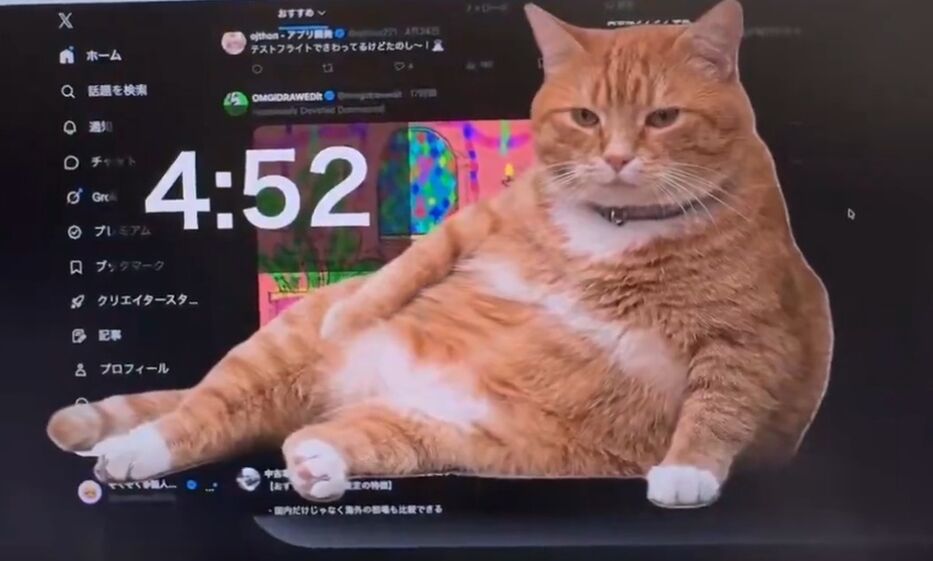 Me pareció ver un lindo gatito