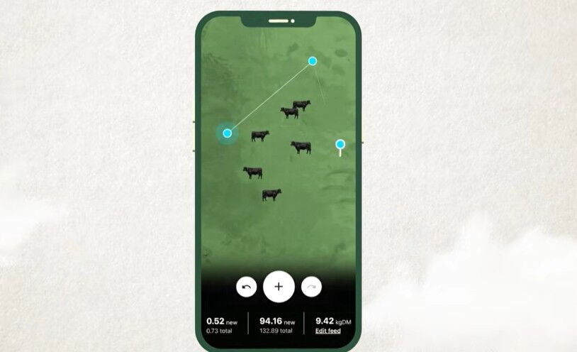 Las vacas voladoras
