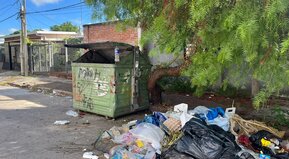 Plata o basura