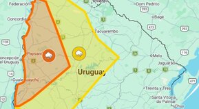 Llegó