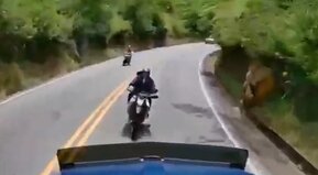 Brutal