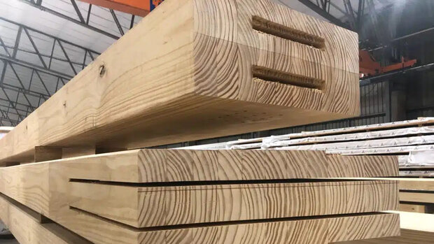 Banco Mundial anunció préstamo de US$ 40 millones para empresa forestal de Tacuarembó