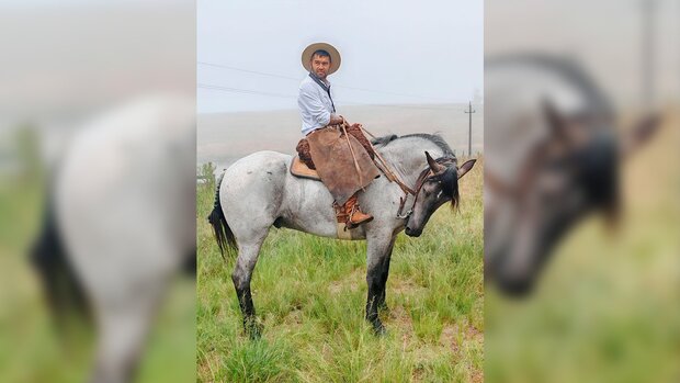 Del pueblo de 175 personas a ser viral en redes: Alexis y los secretos para domar caballos