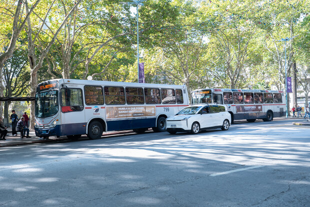 “Si apostaban por el tren-tram, lo apoyábamos igual”: integrante de CAF por proyecto de IM