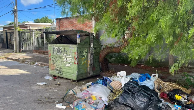 Plata o basura