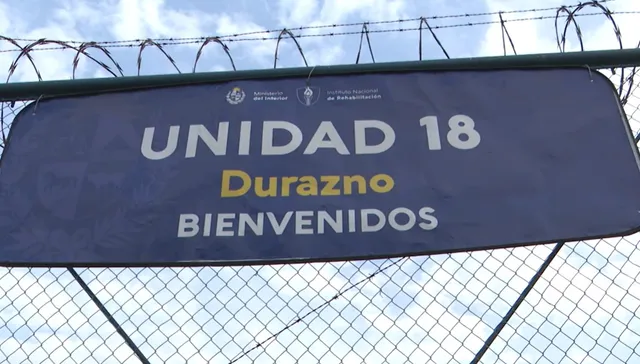 Final