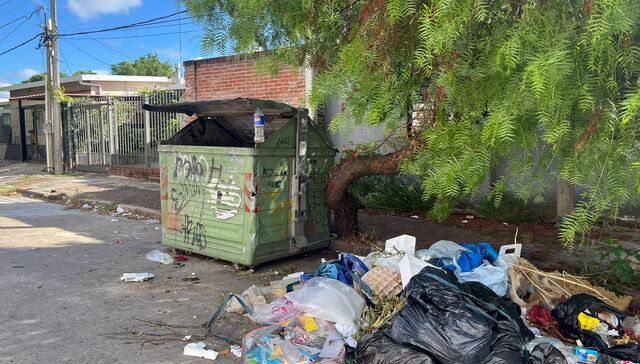Plata o basura
