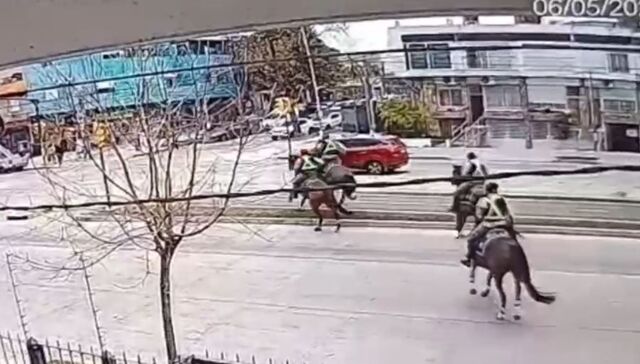 Policías a caballo persiguieron y detuvieron a un ladrón que robó una bicicleta: el video