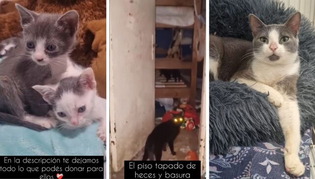 El día después