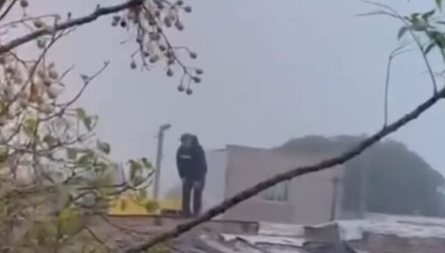 De película: delincuente intentó evitar su detención huyendo por los techos de las casas