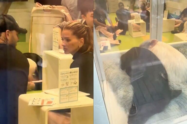 Polémica en redes por China Suárez y Mauro Icardi en un Pig Café en Japón