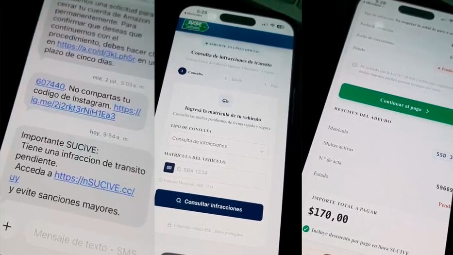 En video: paso a paso, qué pasa al acceder al enlace por SMS que dice ser de Sucive