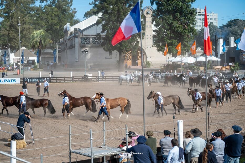 Foto: cedida a Montevideo Portal