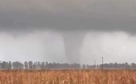 Ciclón: un tornado en Las Flores destruyó una casa y dejó a cuatro personas heridas