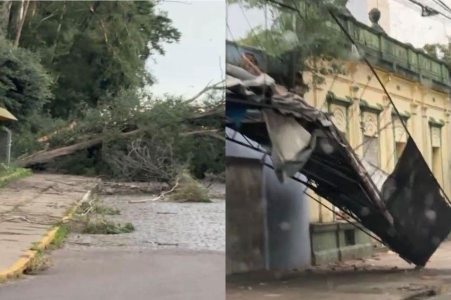 Voladuras, árboles caídos y semáforos rotos: lo que dejó el temporal en el norte del país