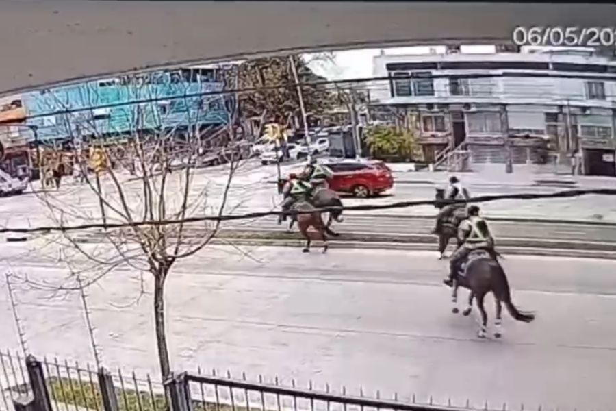 Policías a caballo persiguieron y detuvieron a un ladrón que robó una bicicleta: el video
