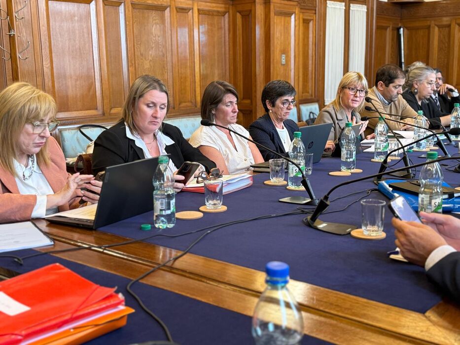 Blancos pedirán volver a citar a Lustemberg al Senado por reducción de pena a anestesista