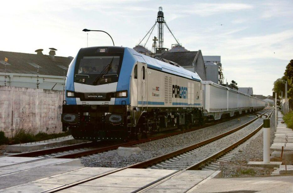 Terrible: una mujer murió embestida por un tren en el departamento de Florida