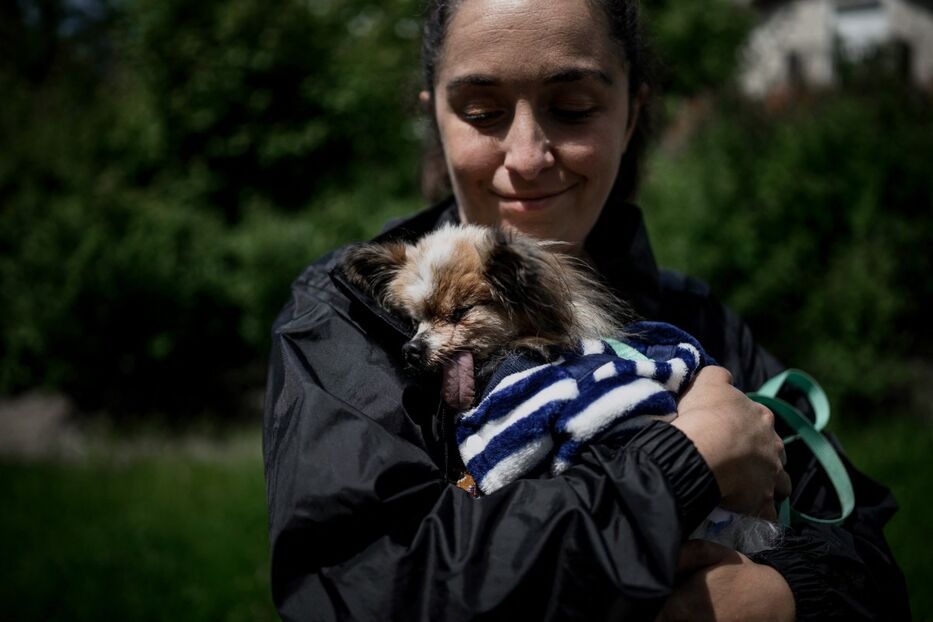 A una increíble edad para su especie muere el “perro más viejo del mundo”