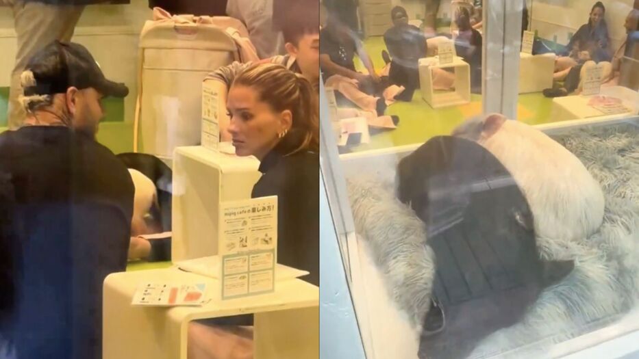 Polémica en redes por China Suárez y Mauro Icardi en un Pig Café en Japón