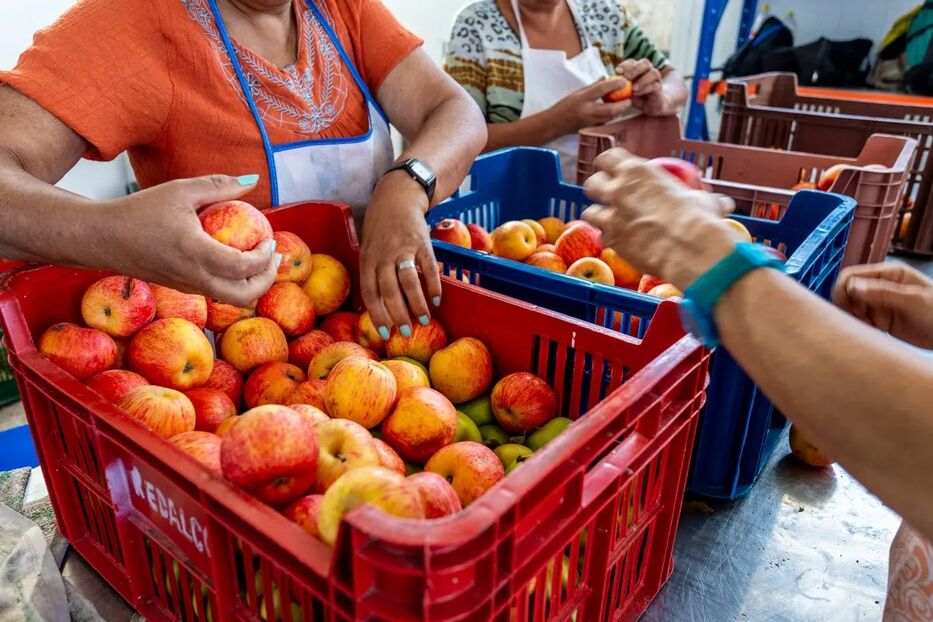 Al rescate: Redalco cumple 10 años y lanza su Misión Platos 2026