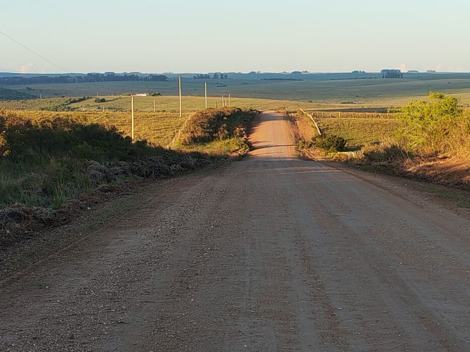 Lavalleja: en extraña secuencia, un hombre murió por caer de un camión mientras limpiaba