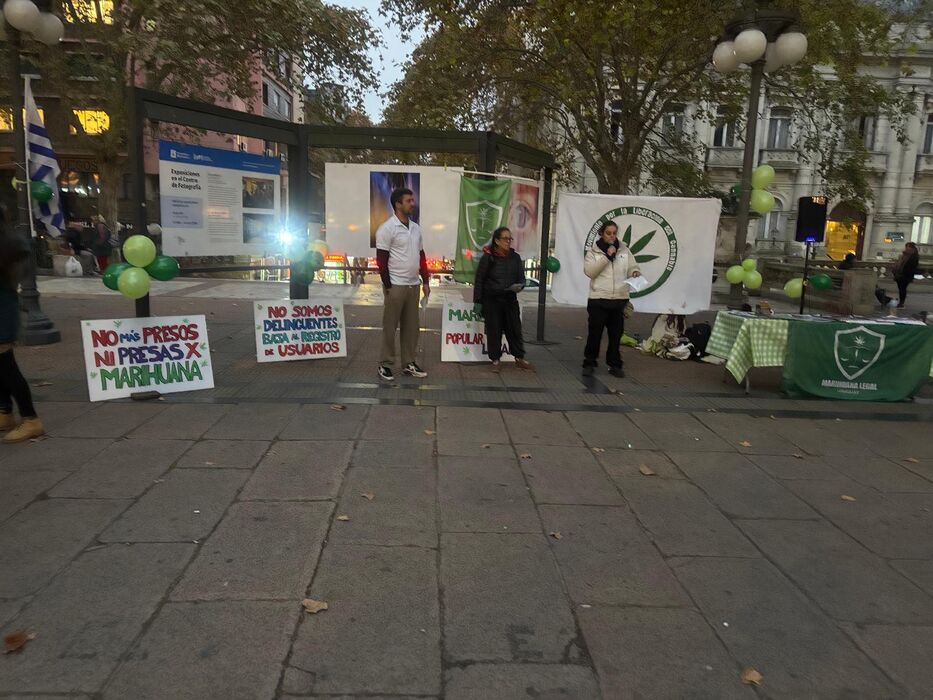 Hubo un banderazo para que la marihuana no tenga un “mercado gris”: qué reclaman