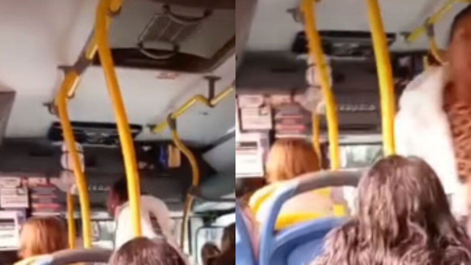 “Mirá si voy a bajar”: pasajera tildó de “racista” a chofer de Cutcsa en viral discusión