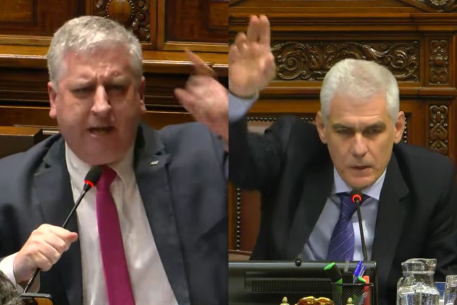 “Le falta tomar mucha chocolatada”: tensa sesión en Diputados por la investigadora de ASSE