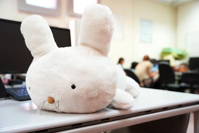 Terapia animal, pero con un conejo robot: se llama Mía y reconoce la voz de quien le habla