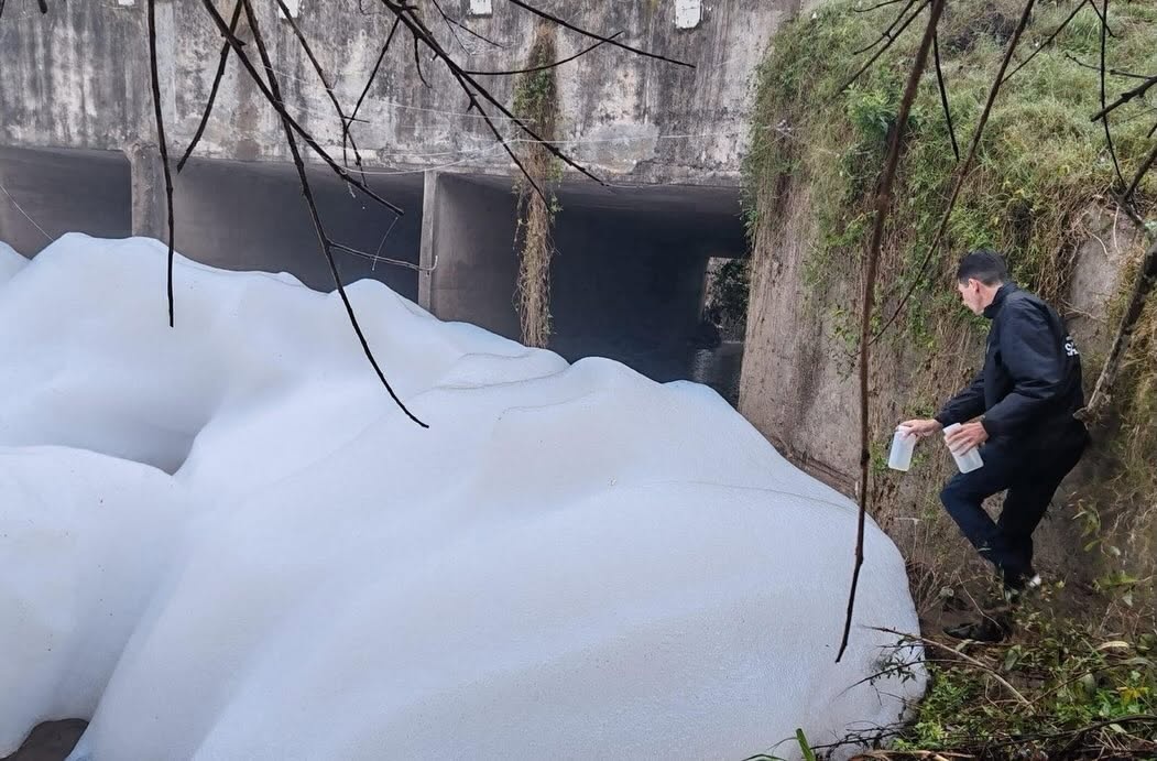 Salto: investigan origen y responsabilidades de “invasión de espuma” que cubrió un arroyo