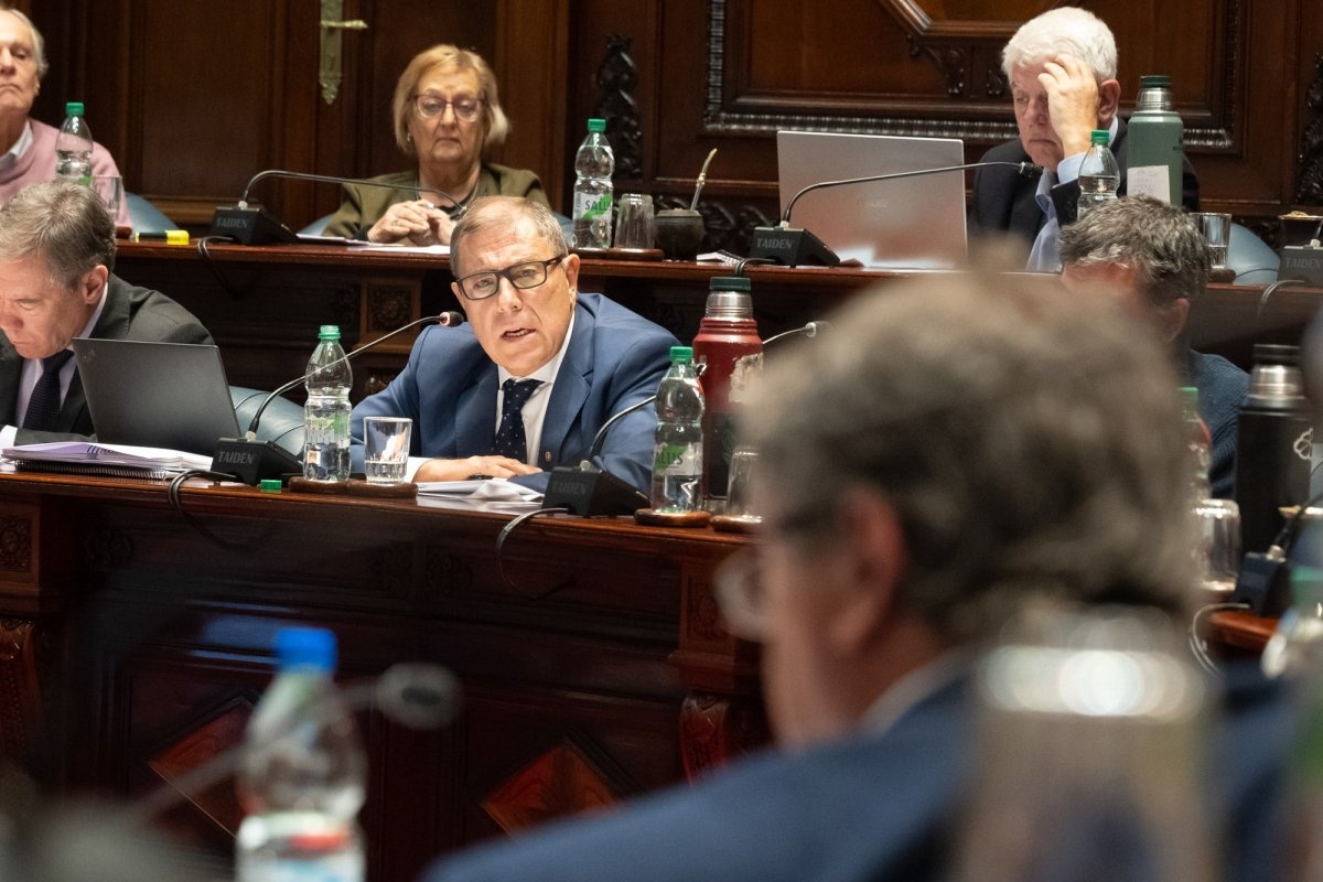 “Rumbo económico claro”: tras 12 horas de interpelación, Senado votó respaldo a Oddone