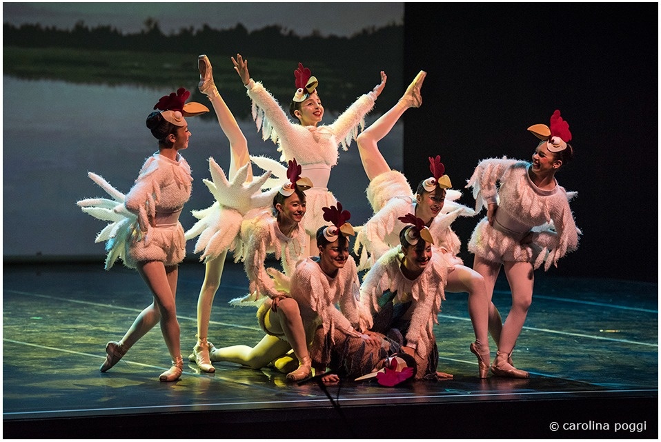 El Sodre presenta El Carnaval de los animales con orquesta, ballet y videomapping