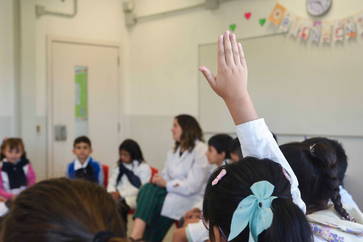 Opinión | Competitividad y el gato en la mesa. ¿Por qué excluir la educación?