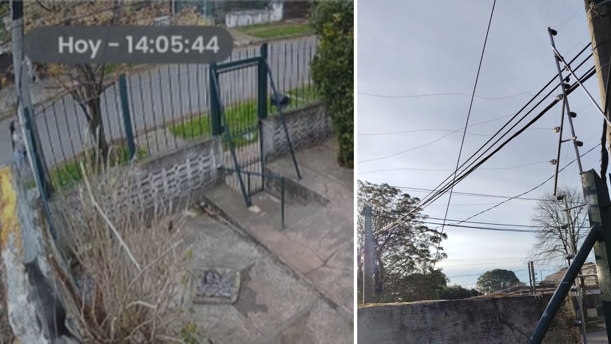 “Tirale el bicho”: querían entrar a robar una casa y lanzaron un gato a un cerco eléctrico