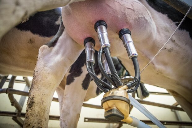 No va más: tras un prolongado declive, cierra la cooperativa láctea más antigua del país