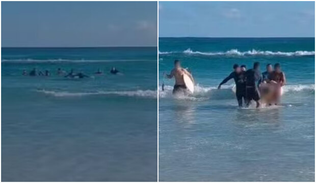 Tristeza: un turista uruguayo se ahogó en una playa de Río d