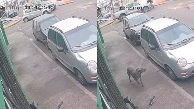 Maldonado: Dos choques en 40 minutos en la misma esquina des