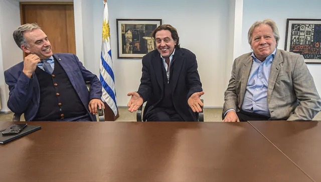 Paso a paso