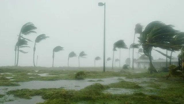Un ojo siempre en el cielo
