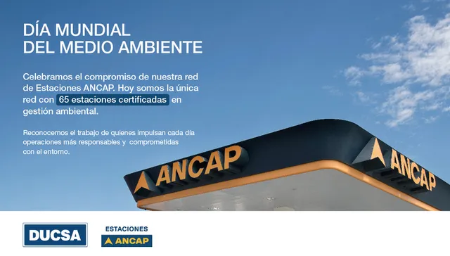 Día Mundial del Medio Ambiente