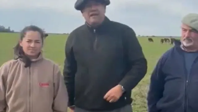 De cincha suelta