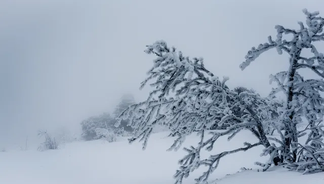 Este es un nuevo invierno