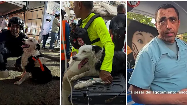 Héroe de cuatro patas