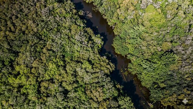 El sistema Coca-Cola en Uruguay avanza en su compromiso con el cuidado del medioambiente