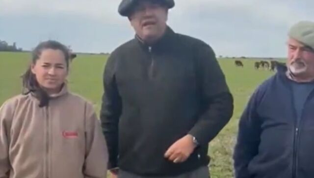 De cincha suelta