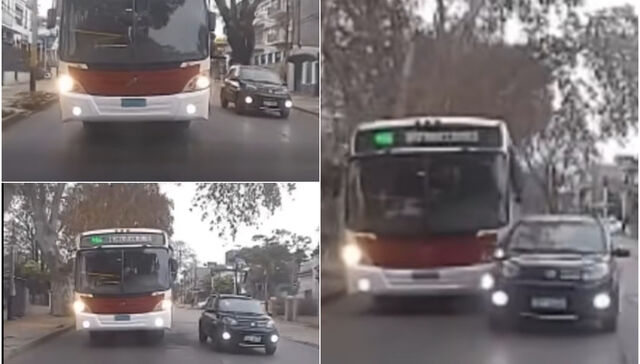 En foto y en video